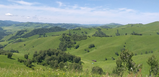 Similar image 22005987