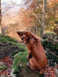 Similar image 22007596