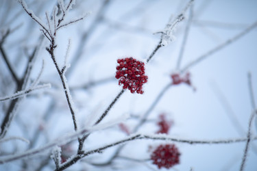 Similar image 22007747