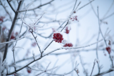 Similar image 22007748