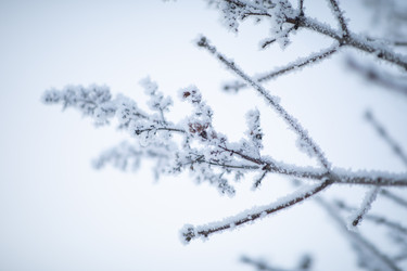 Similar image 22007749