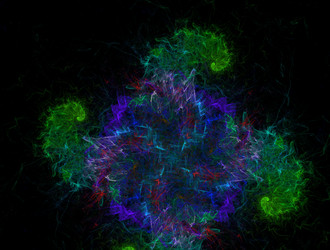 Similar image 22019232