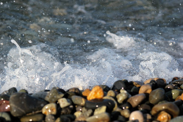 Similar image 22007750