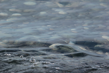 Similar image 22007804