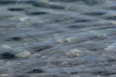 Similar image 22007805