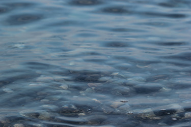 Similar image 22007806