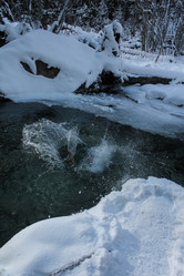 Similar image 22006528