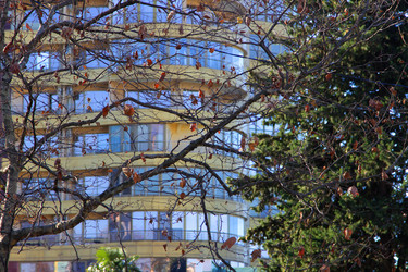 Similar image 22002431