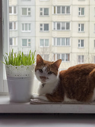 Similar image 22002707