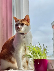 Similar image 22002709