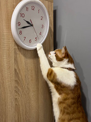 Similar image 22002710