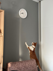 Similar image 22002712