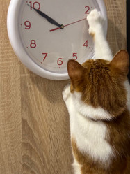 Similar image 22002714