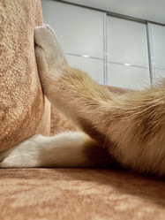 Similar image 22002716