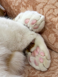 Similar image 22002717