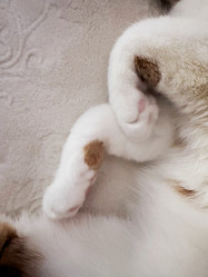 Similar image 22002718