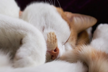 Similar image 22002719