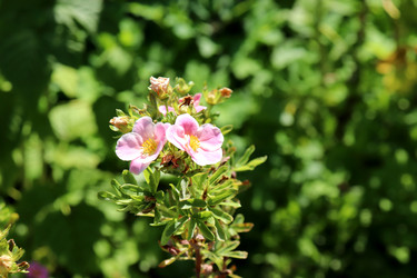 Similar image 22005992