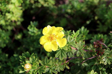 Similar image 22005993