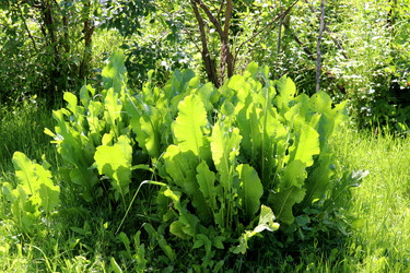 Similar image 22005994