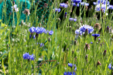 Similar image 22005995