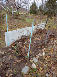 Similar image 22005996