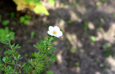 Similar image 22005998