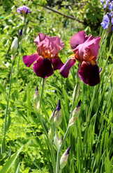 Similar image 22006002