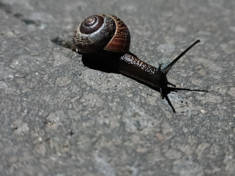 Similar image 22002723