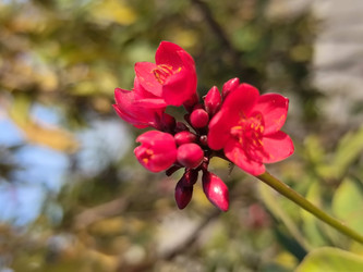 Similar image 22008731