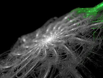 Similar image 22019241