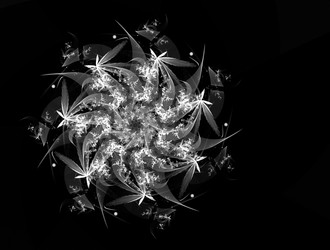 Similar image 22019316