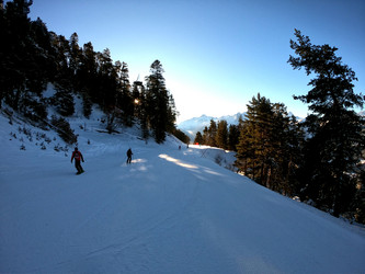 Similar image 22006005