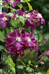 Similar image 22002739