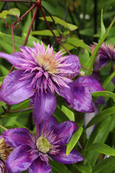 Similar image 22002740