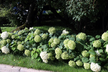 Similar image 22002742