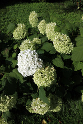 Similar image 22002743