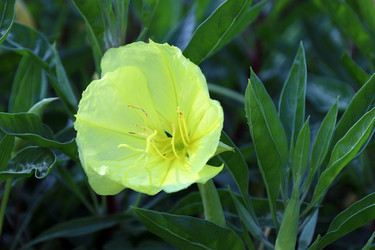 Similar image 22002744