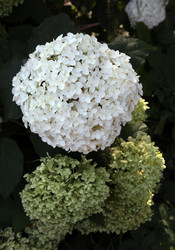 Similar image 22002745