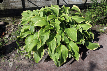 Similar image 22002748