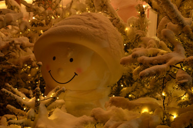 Similar image 22009034