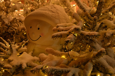 Similar image 22009035