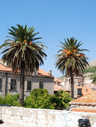 Similar image 22006180