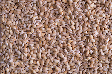 Similar image 22006014