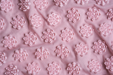 Similar image 22006021