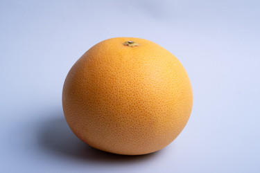 Similar image 22006542