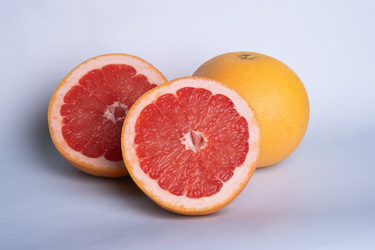 Similar image 22006544