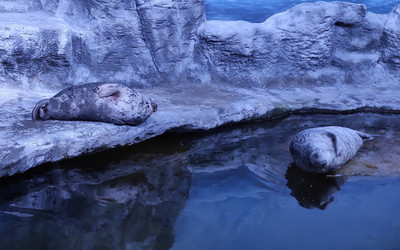 Similar image 22006032