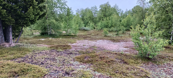 Similar image 22006202