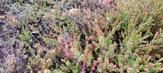 Similar image 22006203